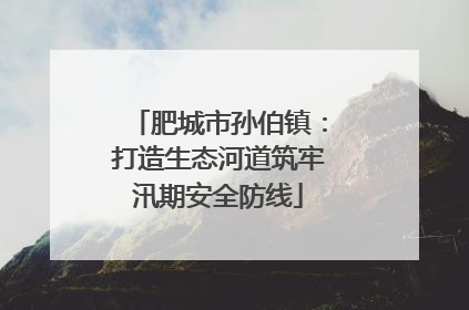 肥城市孙伯镇：打造生态河道筑牢汛期安全防线