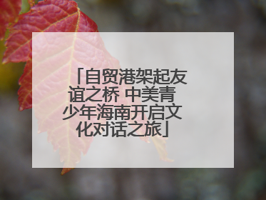 自贸港架起友谊之桥 中美青少年海南开启文化对话之旅