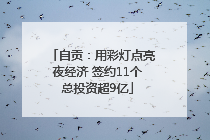 自贡：用彩灯点亮夜经济 签约11个总投资超9亿