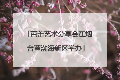 芭蕾艺术分享会在烟台黄渤海新区举办