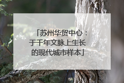 苏州华贸中心：于千年文脉上生长的现代城市样本