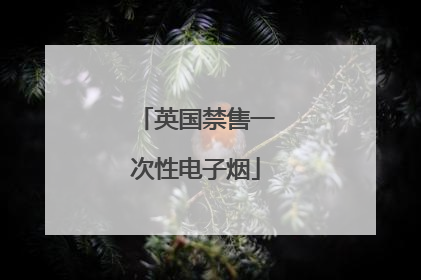 英国禁售一次性电子烟