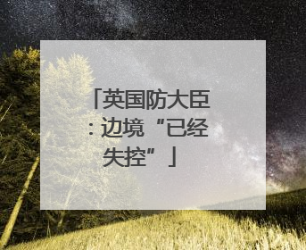 英国防大臣：边境“已经失控”