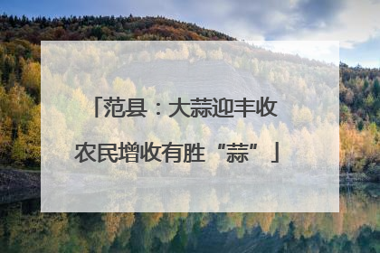 范县：大蒜迎丰收 农民增收有胜“蒜”