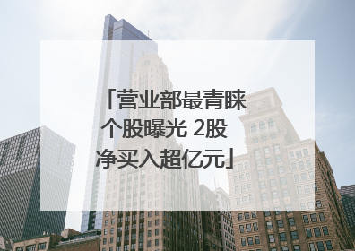 营业部最青睐个股曝光 2股净买入超亿元