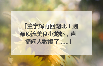 董宇辉再回湖北！溯源顶流美食小龙虾，直播间人数爆了……