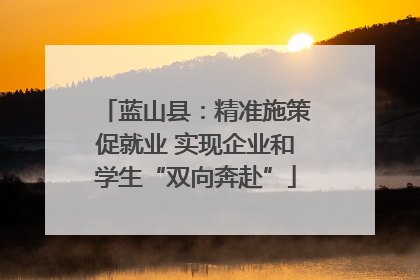 蓝山县：精准施策促就业 实现企业和学生“双向奔赴”