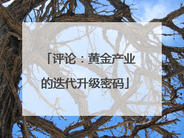 评论：黄金产业的迭代升级密码