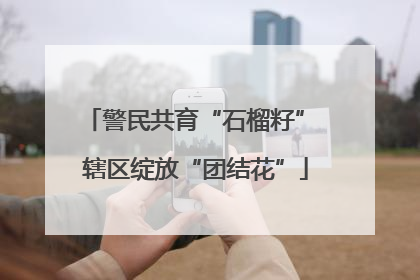 警民共育“石榴籽” 辖区绽放“团结花”