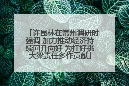 许昆林在常州调研时强调 加力推动经济持续回升向好 为扛好挑大梁责任多作贡献