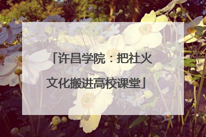 许昌学院：把社火文化搬进高校课堂