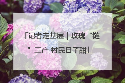 记者走基层｜玫瑰“链”三产 村民日子甜