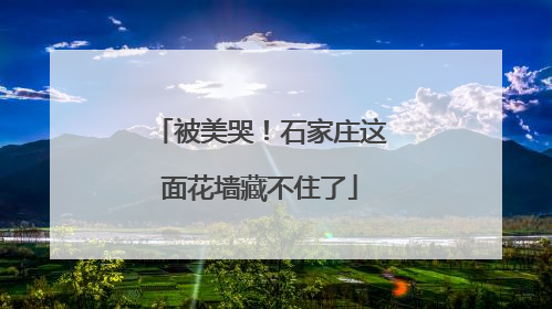 被美哭！石家庄这面花墙藏不住了