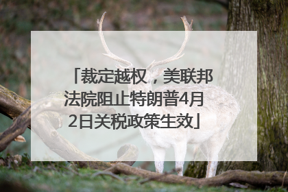 裁定越权，美联邦法院阻止特朗普4月2日关税政策生效