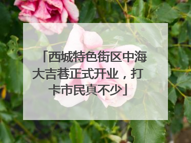 西城特色街区中海大吉巷正式开业，打卡市民真不少
