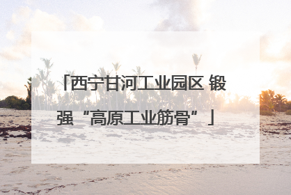 西宁甘河工业园区 锻强“高原工业筋骨”