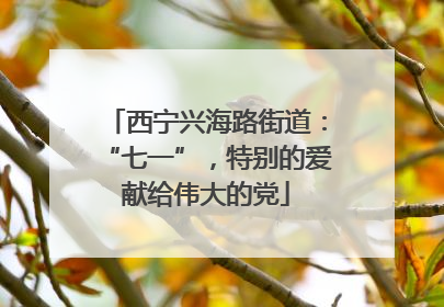 西宁兴海路街道：“七一”，特别的爱献给伟大的党