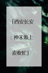 西安长安：神禾塬上麦收忙