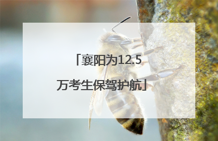 襄阳为12.5万考生保驾护航