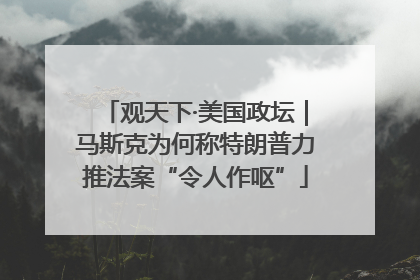 观天下·美国政坛｜马斯克为何称特朗普力推法案“令人作呕”