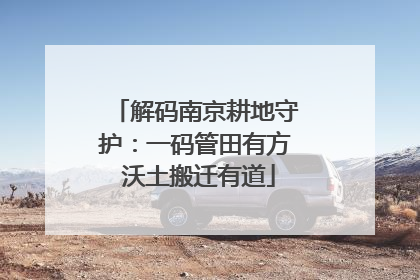 解码南京耕地守护：一码管田有方 沃土搬迁有道