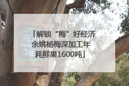 解锁“梅”好经济 余姚杨梅深加工年耗鲜果1600吨