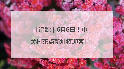 追踪｜6月6日！中关村茶点新址将迎客