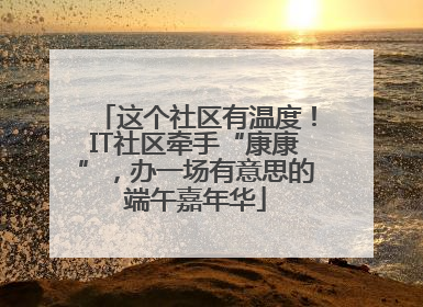 这个社区有温度！IT社区牵手“康康”，办一场有意思的端午嘉年华