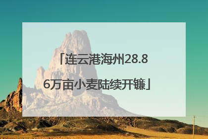连云港海州28.86万亩小麦陆续开镰
