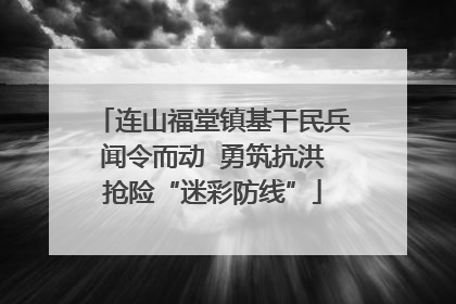 连山福堂镇基干民兵闻令而动  勇筑抗洪抢险“迷彩防线”