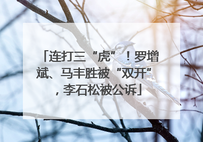 连打三“虎”！罗增斌、马丰胜被“双开”，李石松被公诉