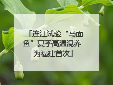 连江试验“马面鱼”夏季高温混养 为福建首次