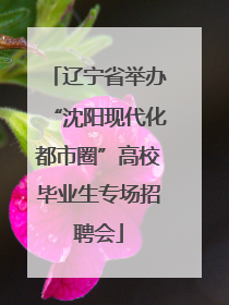辽宁省举办“沈阳现代化都市圈”高校毕业生专场招聘会