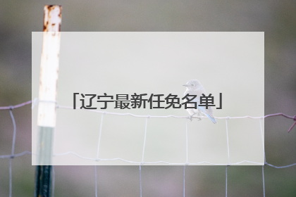 辽宁最新任免名单