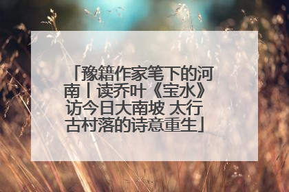 豫籍作家笔下的河南丨读乔叶《宝水》访今日大南坡 太行古村落的诗意重生
