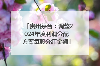 贵州茅台：调整2024年度利润分配方案每股分红金额