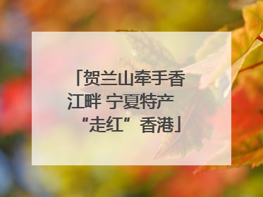 贺兰山牵手香江畔 宁夏特产“走红”香港