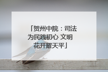 贺州中院：司法为民践初心 文明花开耀天平