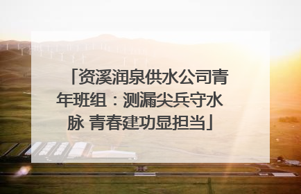 资溪润泉供水公司青年班组：测漏尖兵守水脉 青春建功显担当