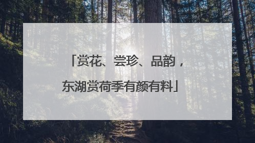 赏花、尝珍、品韵，东湖赏荷季有颜有料