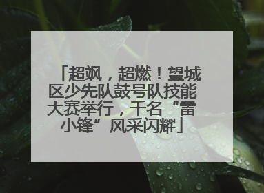 超飒，超燃！望城区少先队鼓号队技能大赛举行，千名“雷小锋”风采闪耀