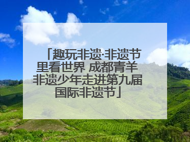 趣玩非遗·非遗节里看世界 成都青羊非遗少年走进第九届国际非遗节