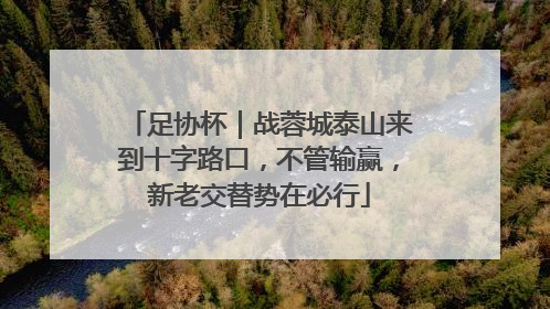 足协杯｜战蓉城泰山来到十字路口，不管输赢，新老交替势在必行