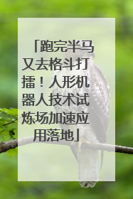 跑完半马又去格斗打擂！人形机器人技术试炼场加速应用落地