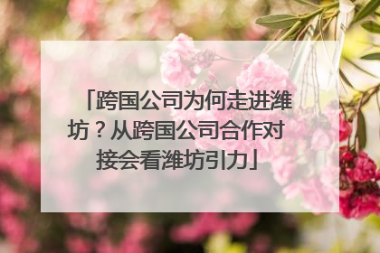 跨国公司为何走进潍坊？从跨国公司合作对接会看潍坊引力