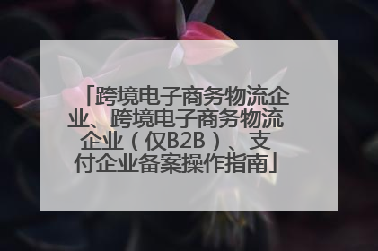 跨境电子商务物流企业、跨境电子商务物流企业（仅B2B）、支付企业备案操作指南