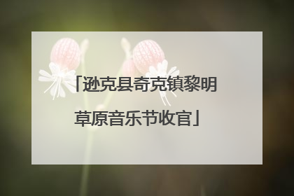 逊克县奇克镇黎明草原音乐节收官