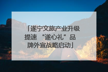遂宁文旅产业升级提速 “遂心礼”品牌外宣战略启动