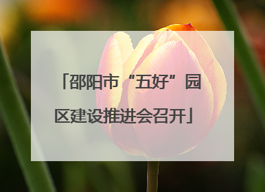 邵阳市“五好”园区建设推进会召开