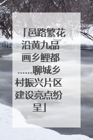 邑路繁花 沿黄九品 画乡鲤都……聊城乡村振兴片区建设亮点纷呈